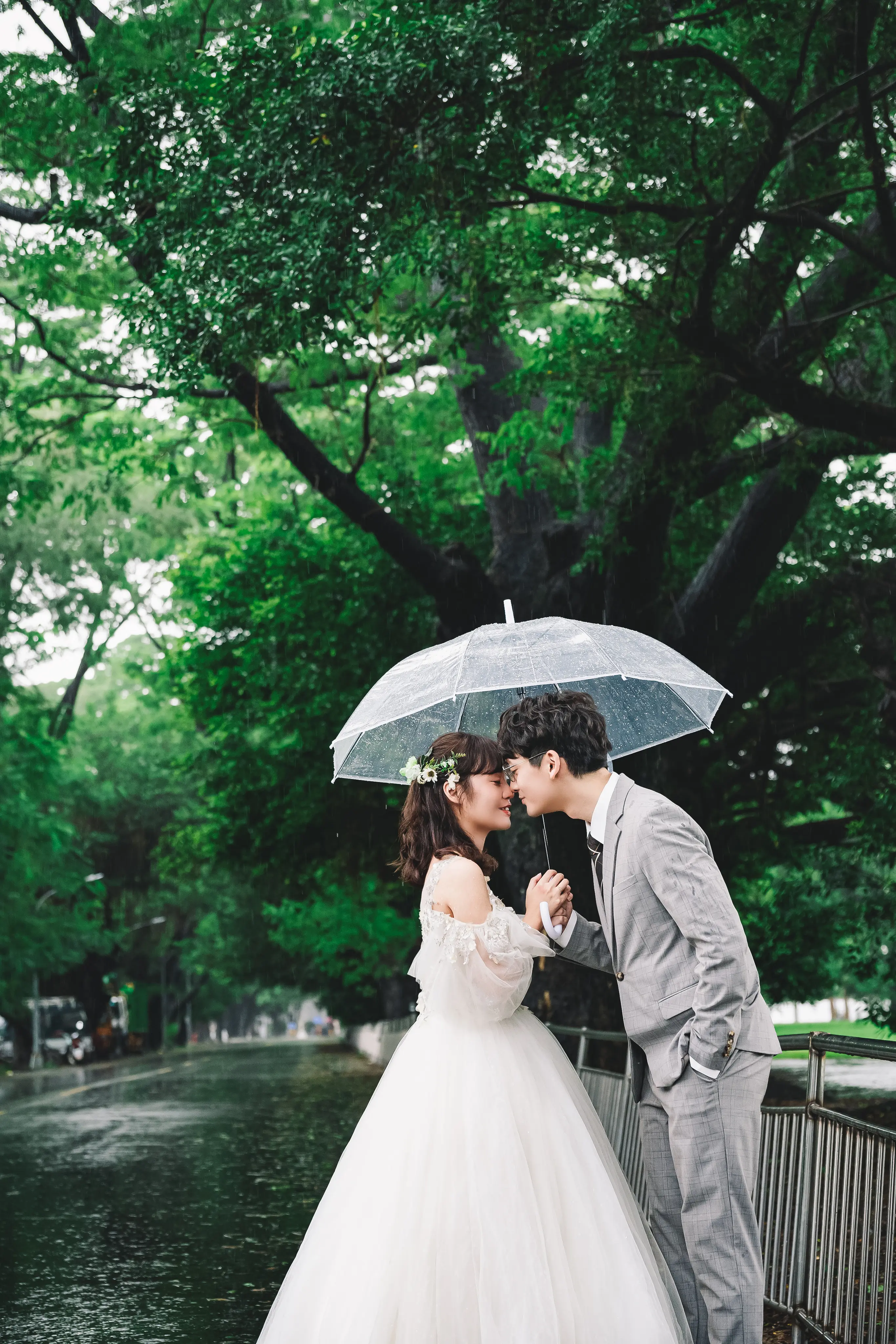 新人在綠樹下共撐透明雨傘，俯身額頭相靠